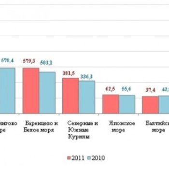 Не лучший год для минтая