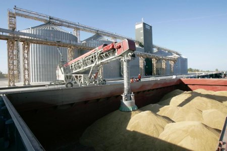 Экспорт 2,24 млн. тонн российского зерна