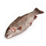 Форель охлаждённая НПСГ 1-2 кг аквакультура, искусственного разведения