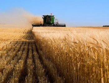 Губернатор Брянской области раскритиковал показатели сельхозпроизводителей
