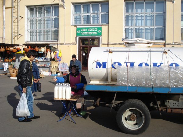 В Амурской области подвели итоги закупа молока