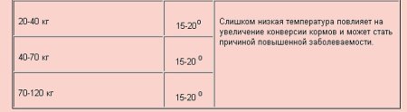 Основы кормления свиней по интенсивной технологии - Организация производства