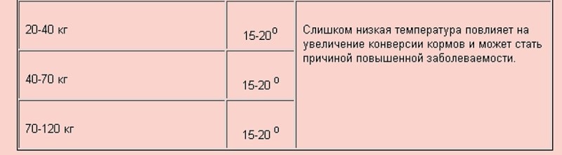 Основы кормления свиней по интенсивной технологии - Организация производства