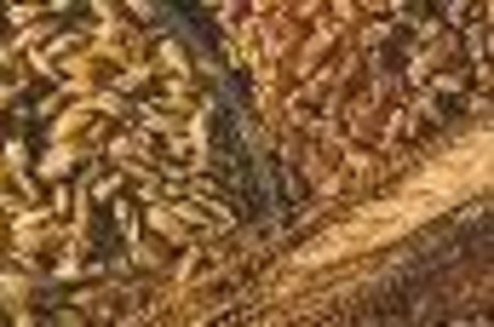 Контроль за количественно-качественной сохранностью зерна