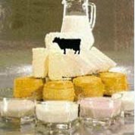 Литва просит Бразилию ускорить выдачу разрешений на экспорт молока