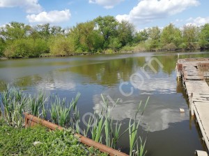 Пруды, рыбоводческое хозяйство, зимовальня