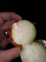 Лук на перо Каратал