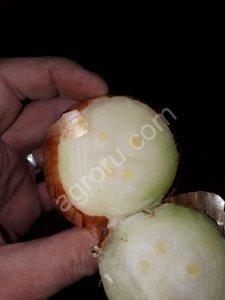 Лук на перо Каратал