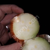 Лук на перо Каратал