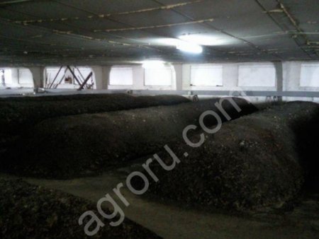 Биогумус и концентраты из биогумуса