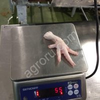 Куриные лапки категория А