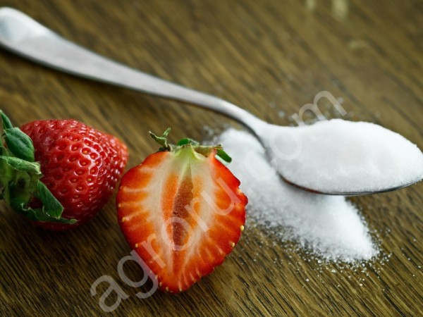 Сахар от производителя