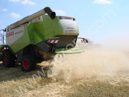 зерноуборочный комбайн Лексион 540С