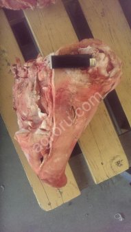 Головы свиные