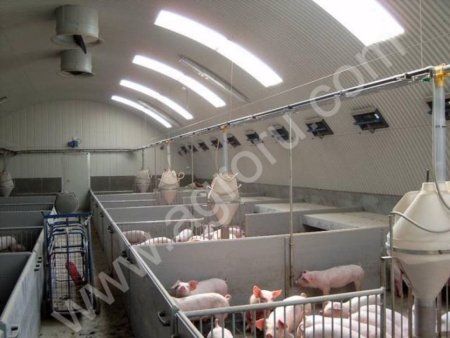 Коровник,свинарник на базе бескаркасного ангара