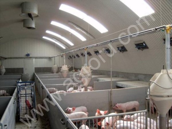 Коровник,свинарник на базе бескаркасного ангара