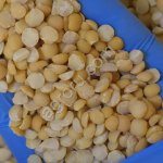 Горох колотый жёлтый шлифованный, мешок 25 кг