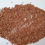 Гречка. Опт.