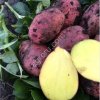 Картофель оптом