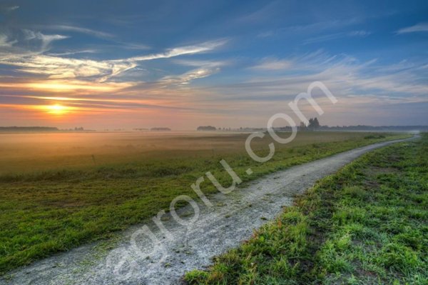 100 Га земля сельхозназначения