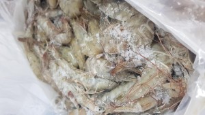 Креветки ОПТ
