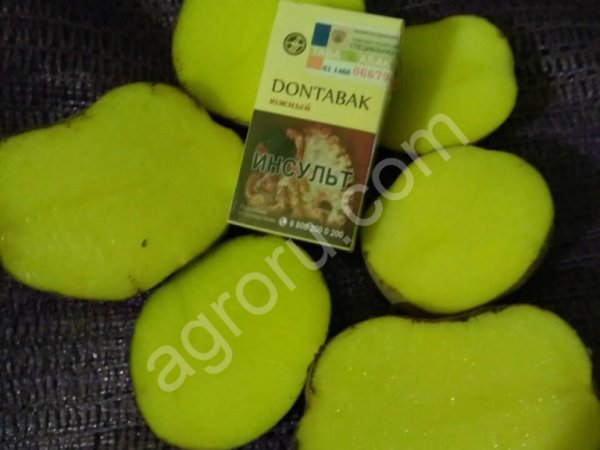 Картофель продовольственный