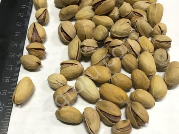 Фисташки жар/сол Фандоги