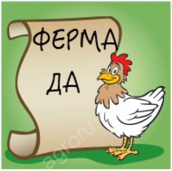 мясо бройлера (тушка)