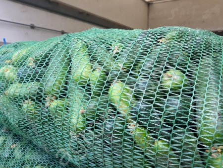 Сетка овощная 50х80