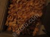 Лисички свежезамороженные в коробках