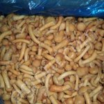 Грибы замороженные для пищевых производств и кулинарии