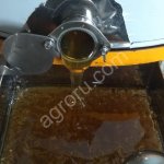 Дягилевый мёд