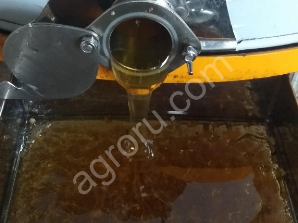 Дягилевый мёд