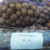 Картофель семенной , сорт Коломба