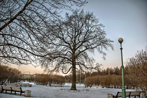 В Татарстане 95% озимых посевов находятся в хорошем состоянии