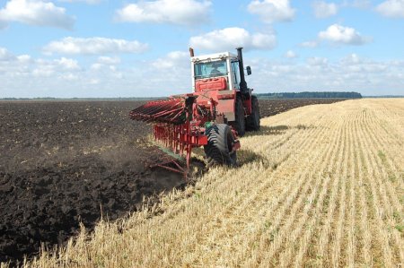 Производителям зерновых возместят затраты, - Краткий обзор рынка зерна