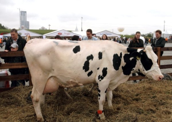 Домик в деревне на Поклонной горе