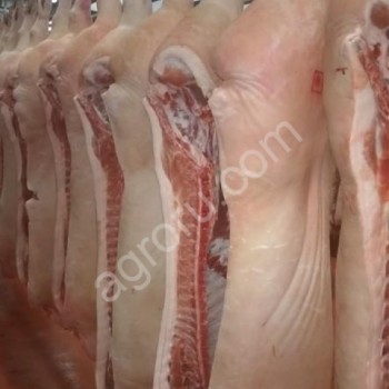Мясо оптом свинина, зам/охл ГОСТ полутуши/четверти от 20 тонн
