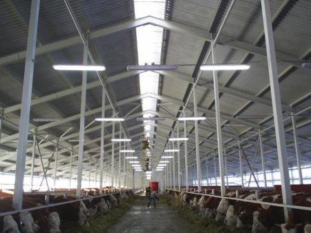 Новые крупные проекты в Ульяновской области