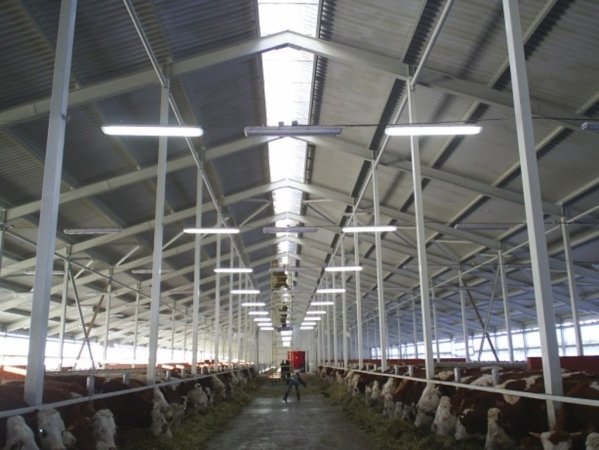 Новые крупные проекты в Ульяновской области