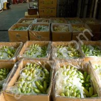 Бананы оптом