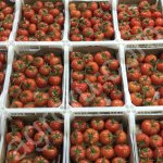 Помидоры оптом от производителя