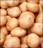 Белорусская картошка стала кусаться