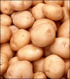 Белорусская картошка стала кусаться