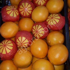 Апельсин груши мандарин лимон яблоки гранат виноград