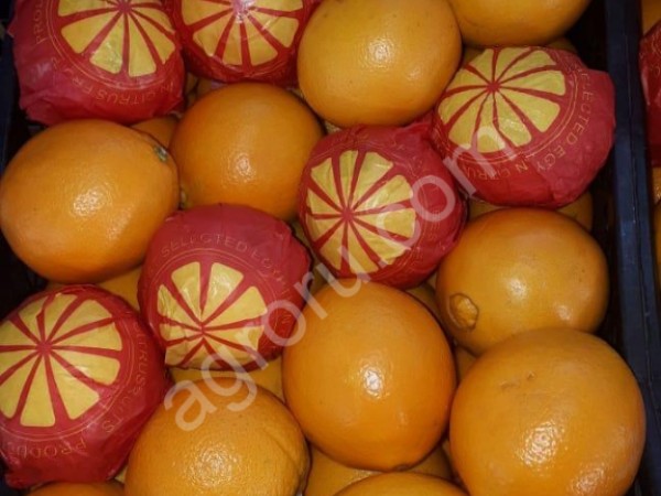 Апельсин, груши, мандарин, лимон, яблоки, гранат, виноград