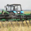На ферме, где произошла вспышка гриппа, уничтожат всех птиц (Кубань)