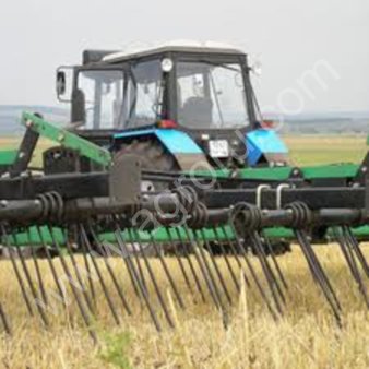 На ферме, где произошла вспышка гриппа, уничтожат всех птиц (Кубань)