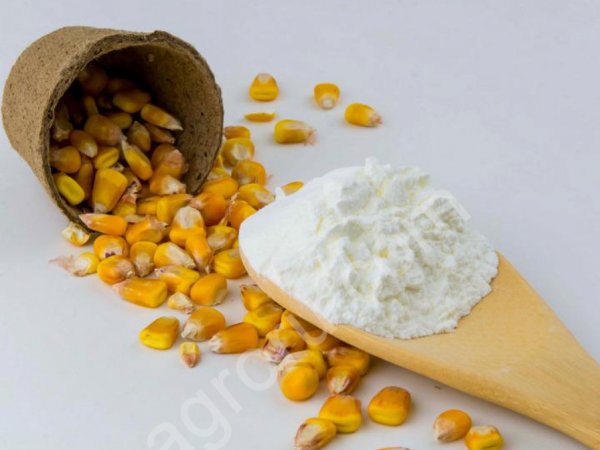 Мальтодекстрин DE 18-20