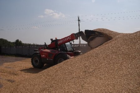 Поставки зерна